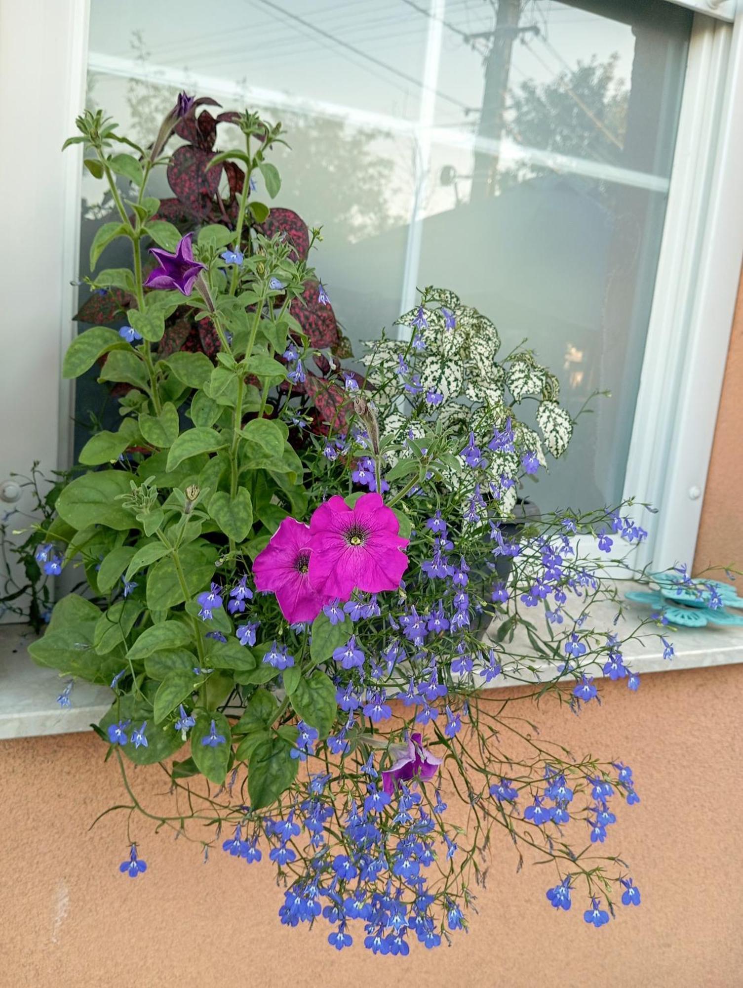 Marika Apartman Hajduszoboszlo Luaran gambar
