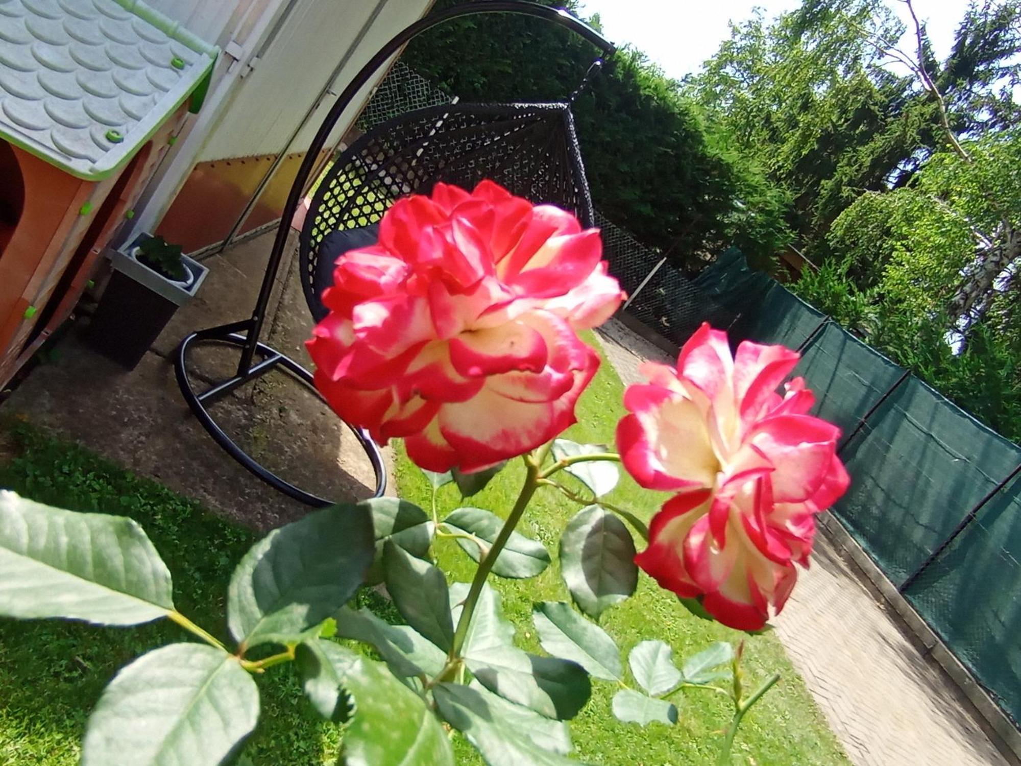 Marika Apartman Hajduszoboszlo Luaran gambar